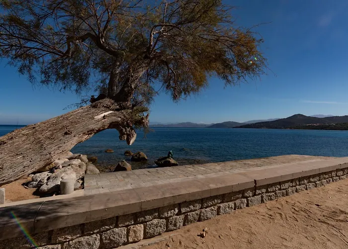 Club Benista T3 By Interhome